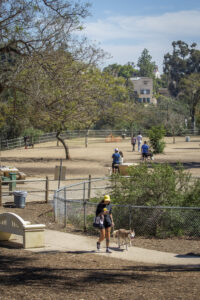 Visit San Diego's Top 5 Dog Parks: A Dog's Paradise Awaits