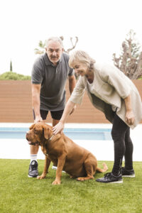 Training old dog