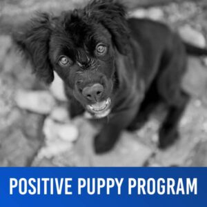 Positive Puppy Program